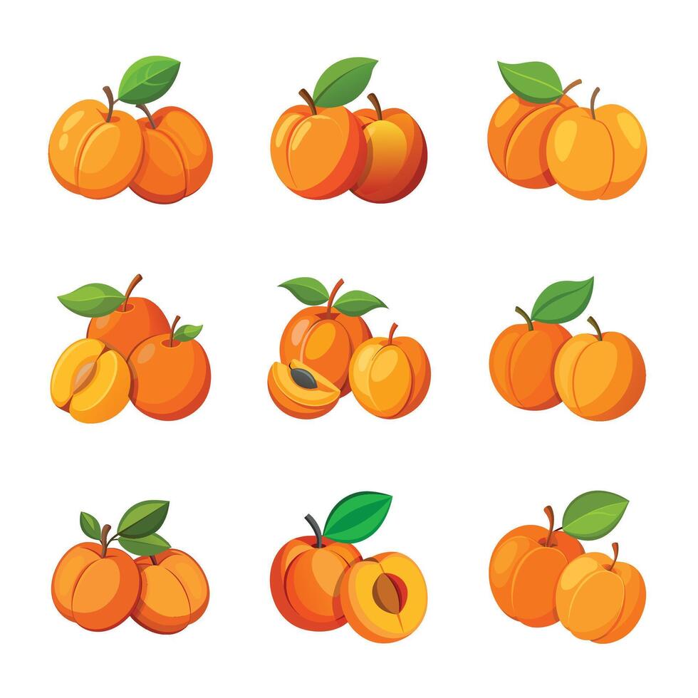 Peach fruit set vector
