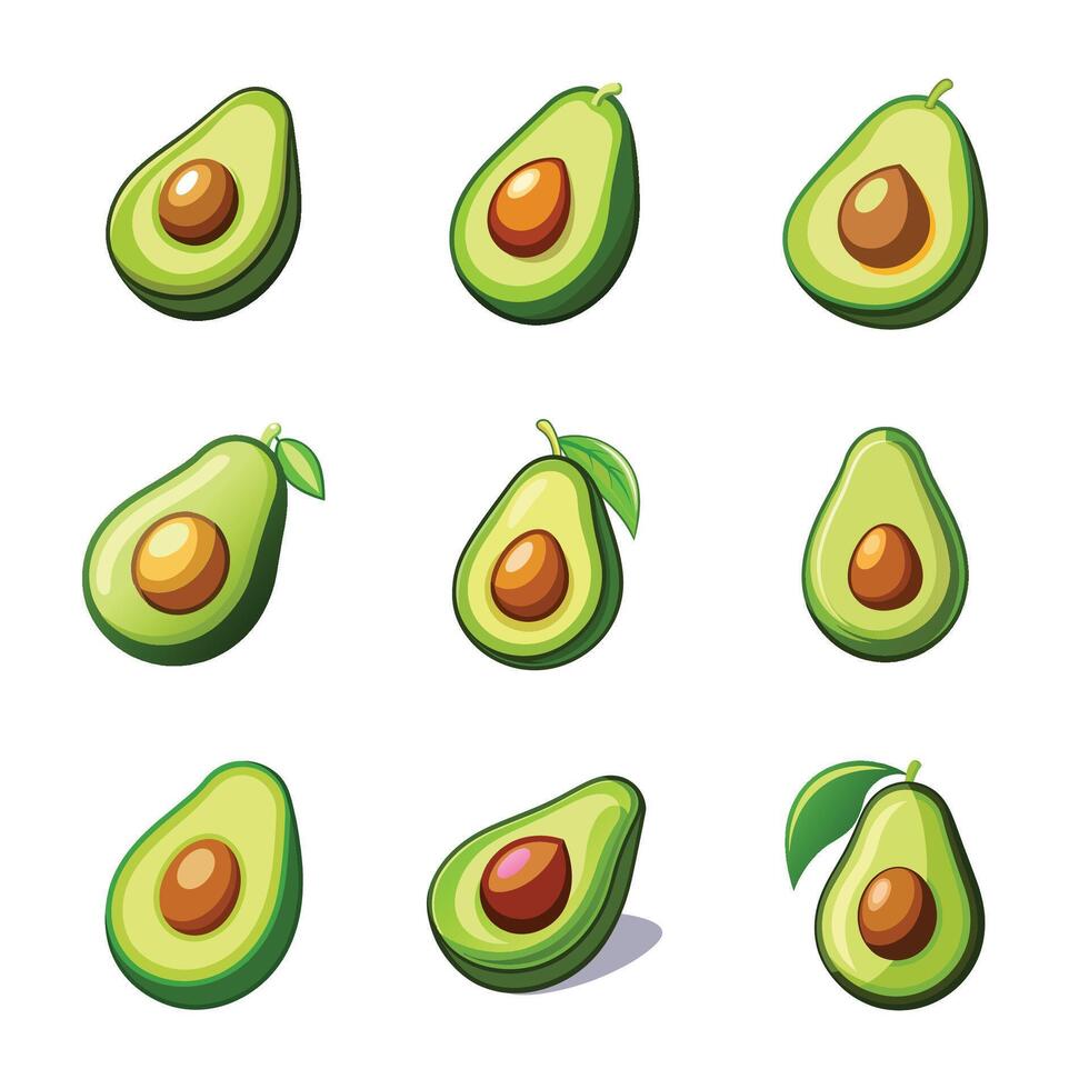 Fresh half avocado fruit set vector