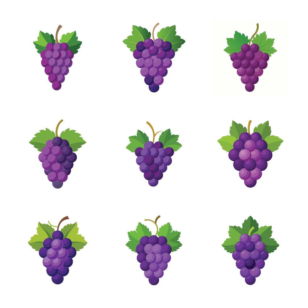 Grape fruit set vector