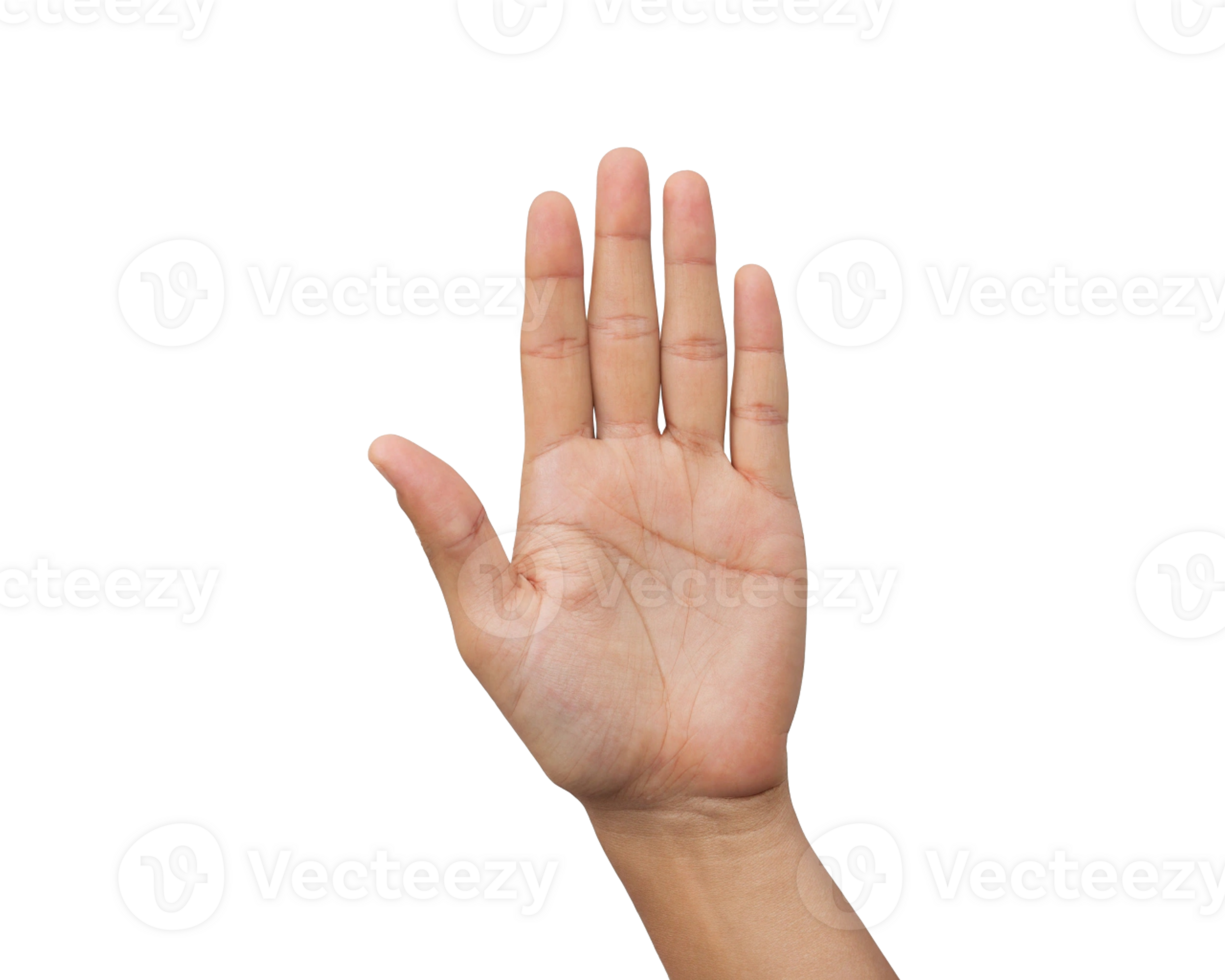 open palm symbolizing openness honesty or stop gesture Transparent Background, Generated with AI png