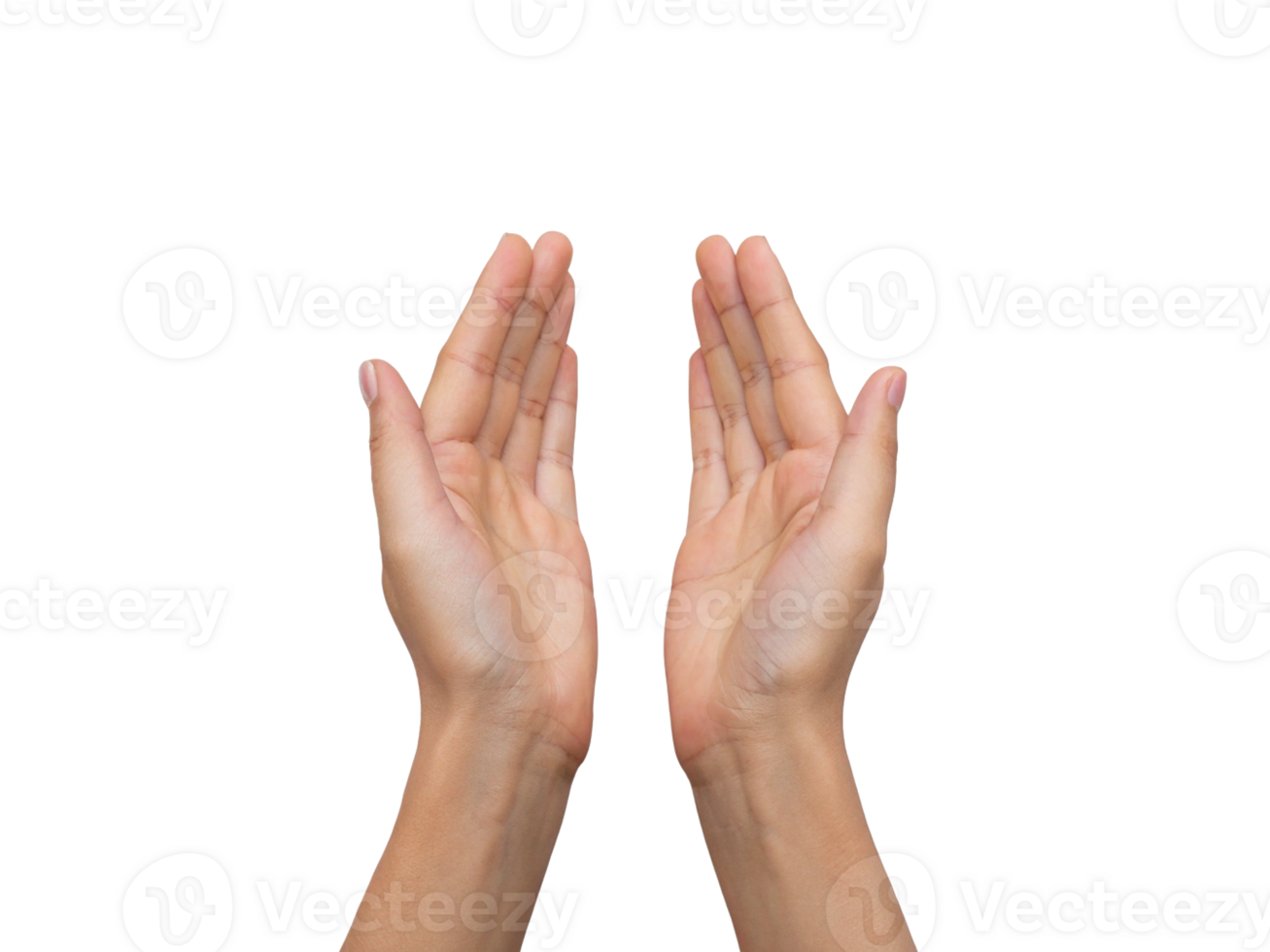Two Hands Isolated on Caucasian Skin Tone Transparent Background, Generated with AI png
