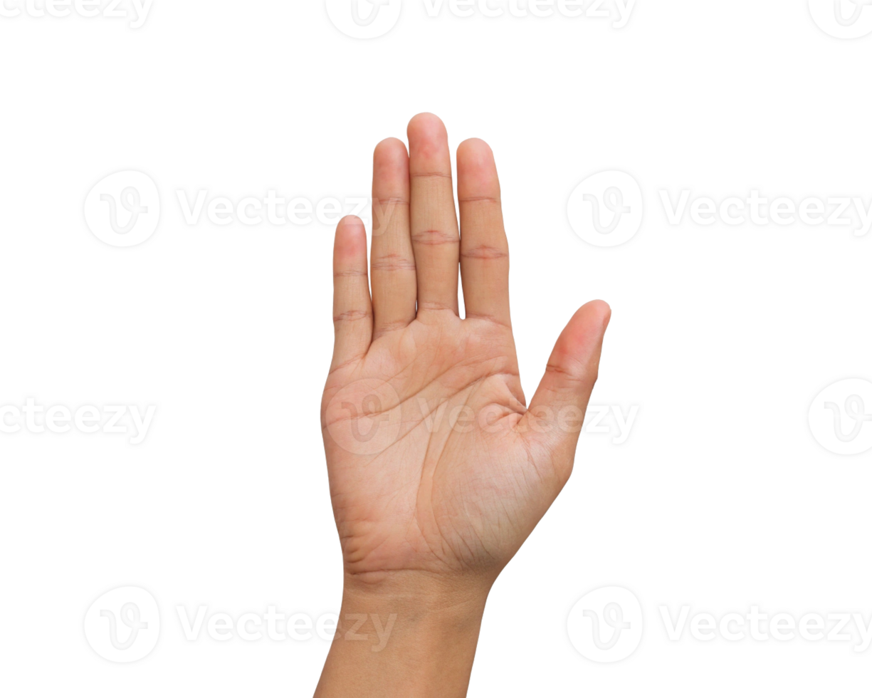 open palm gesture for stop or honesty Transparent Background, Generated with AI png