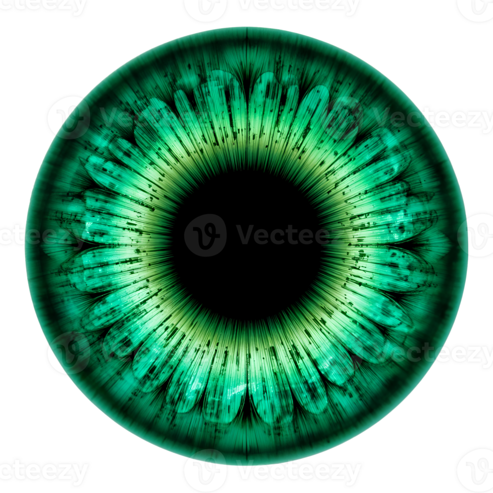 Macro Closeup of Emerald Green Human Iris with Vivid Details on Transparent Background png