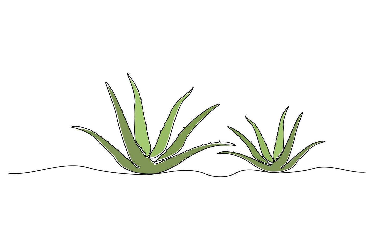 Continuous line art drawing of aloe vera plant. Aloe Vera continuous outline . vector