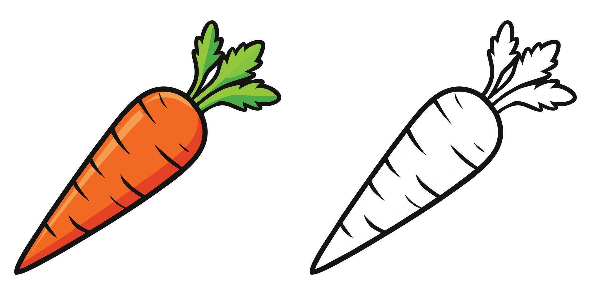 Carrot Coloring Page For Kids. Vegetable Coloring Book Printable. Carrot Illustration Design On White Background vector