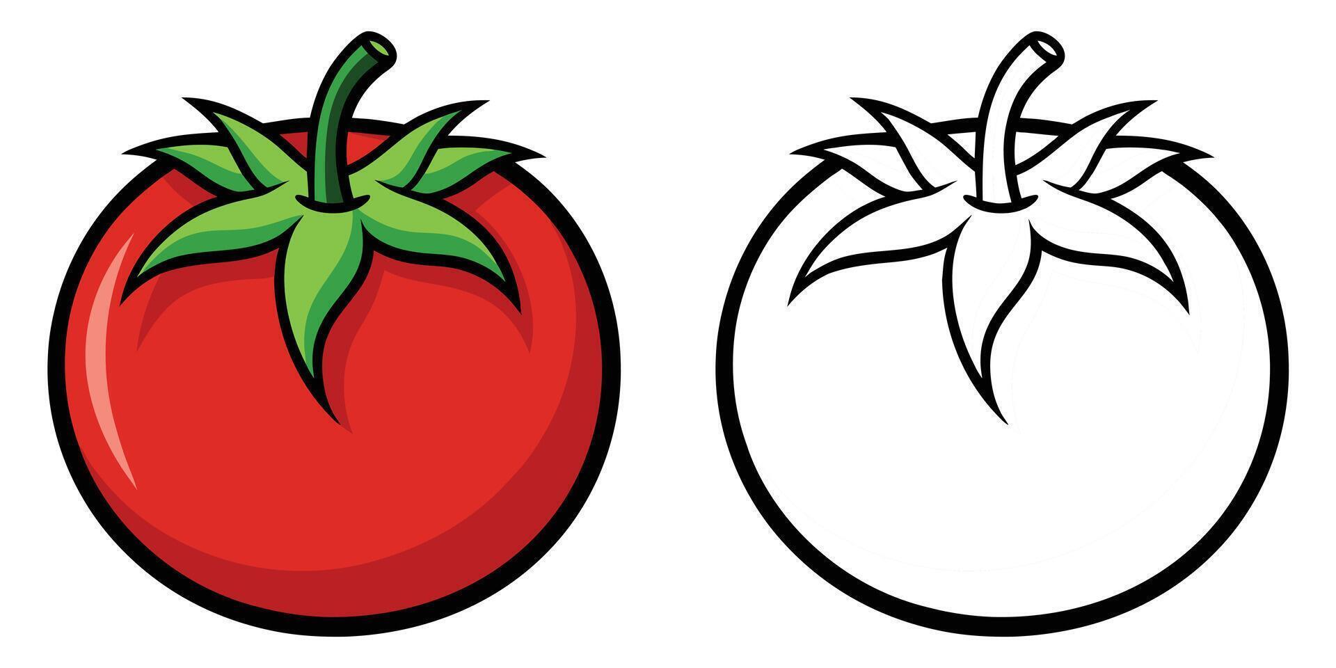 Tomato Coloring Page For Kids. Vegetable Coloring Book Printable. Red Tomatoes Illustration Design On White Background vector