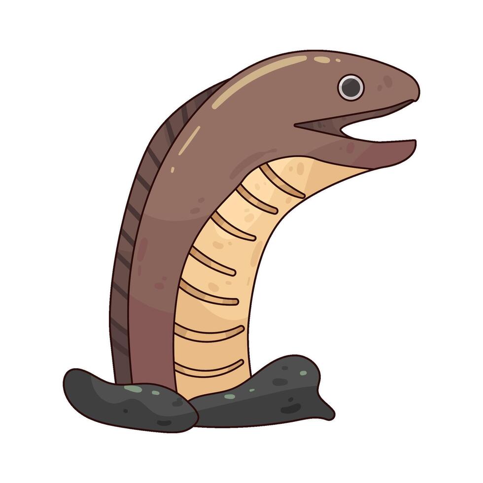 Moray Eel illustration vector