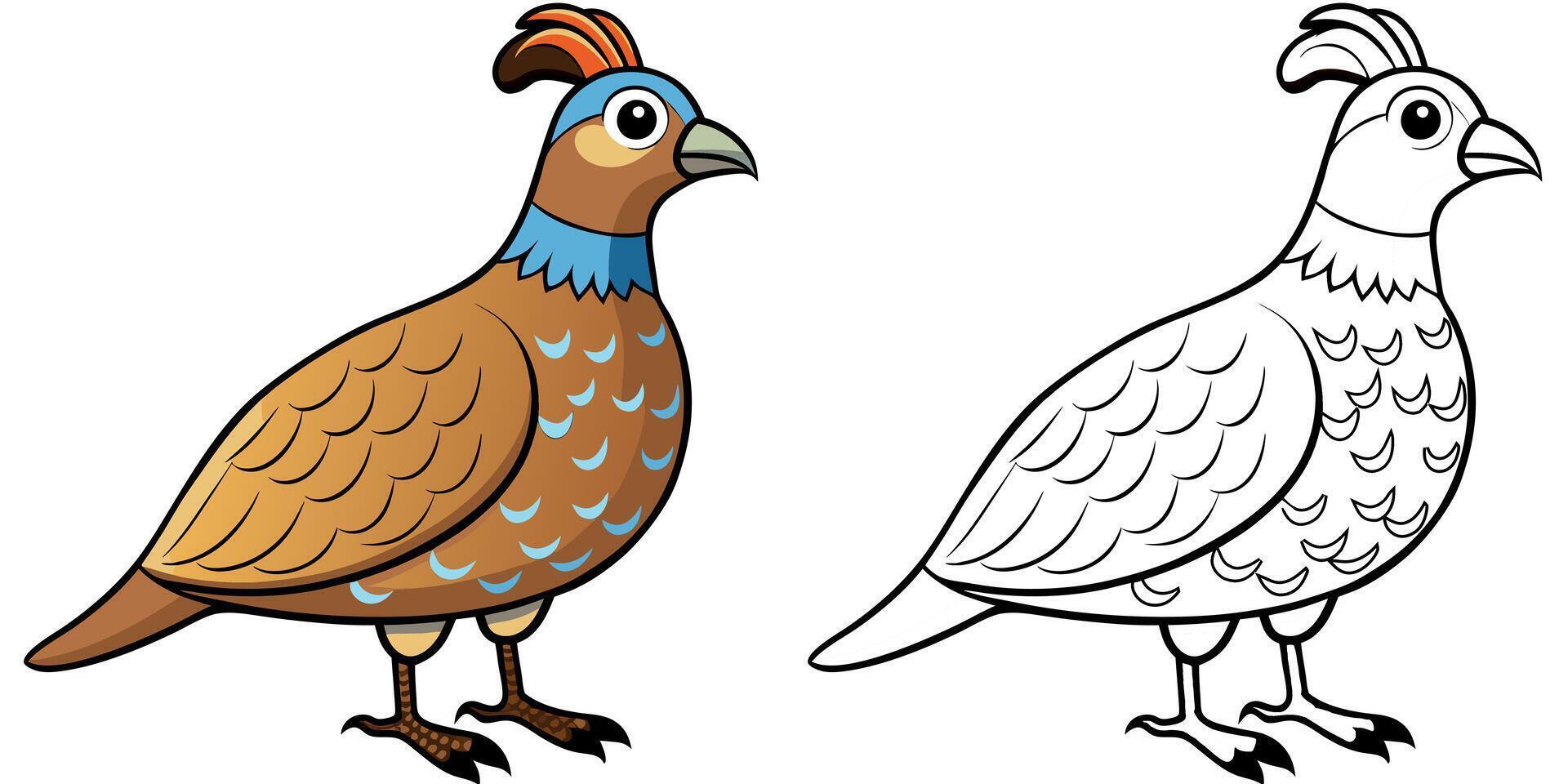 Cute Quail Cartoon Coloring Page For Kids vector