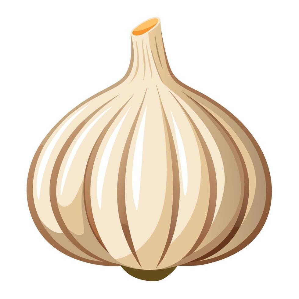Fresh Garlic Art, , Icon and Graphic, Flat Vegetables Illustration Design On White Background vector