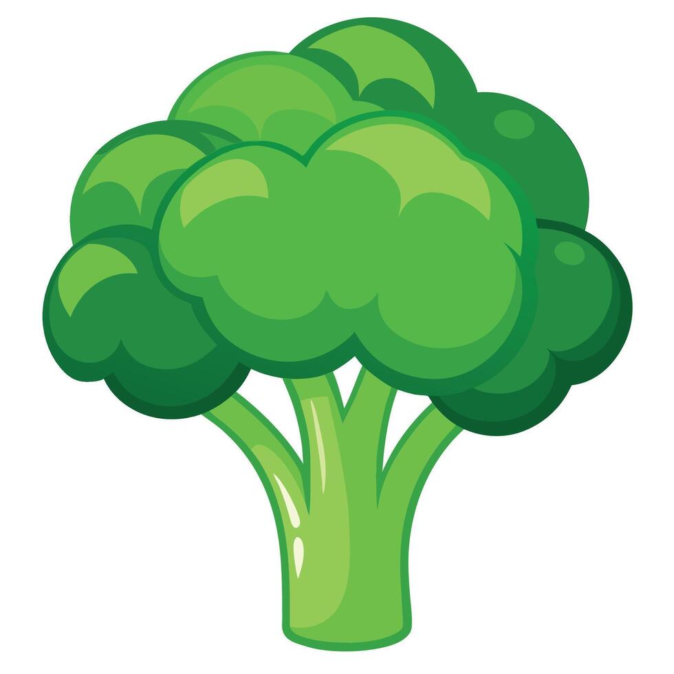 Fresh Broccoli Art, , Icon and Graphic, Flat Vegetables Illustration Design On White Background vector