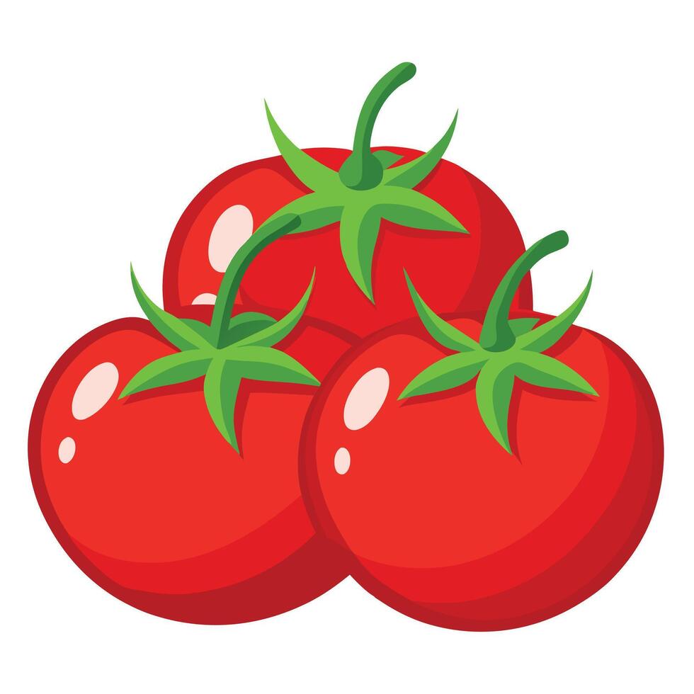 Fresh Tomato Art, , Icon and Graphic, Flat Vegetables Illustration Design On White Background vector