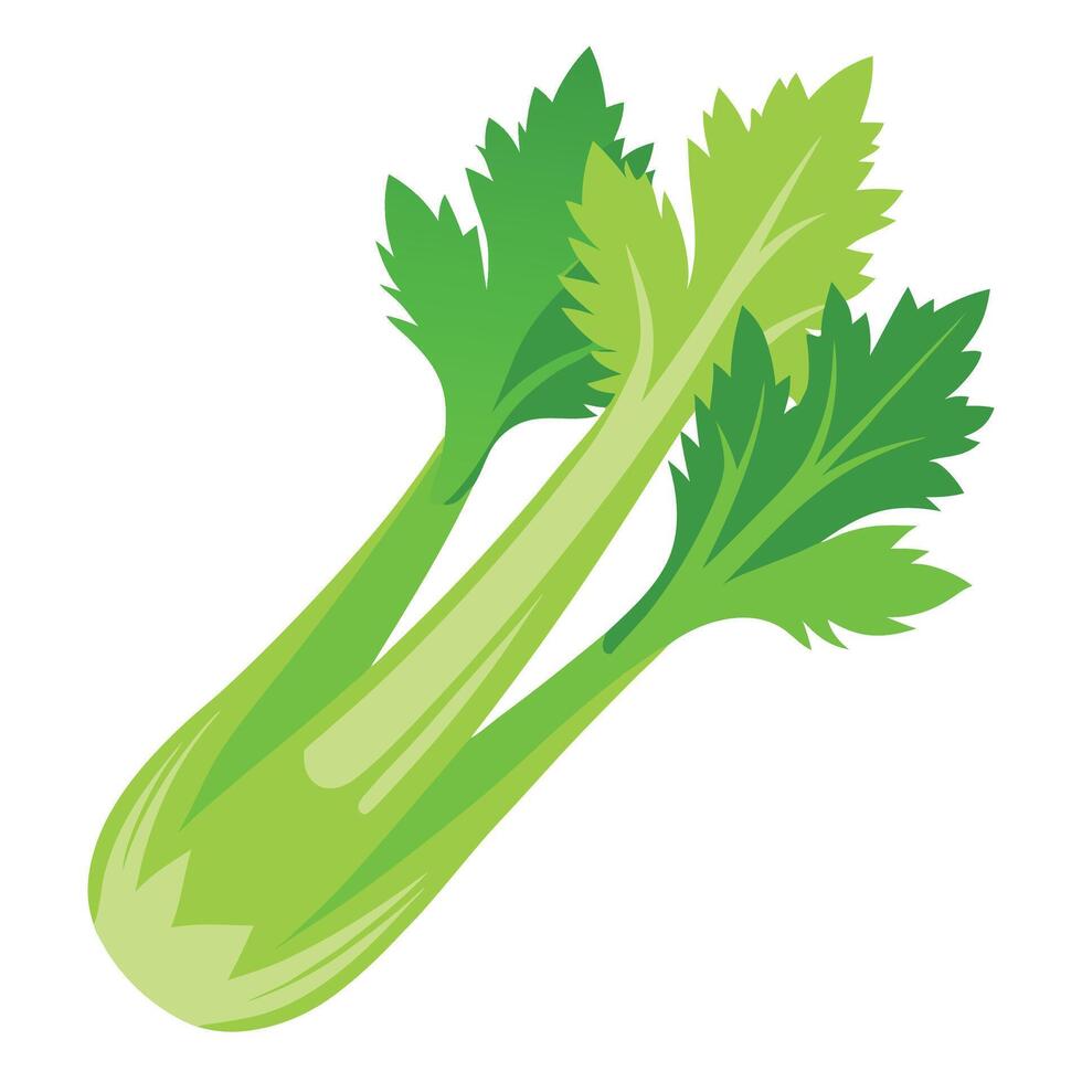 Fresh Celery Art, , Icon and Graphic, Flat Vegetables Illustration Design On White Background vector