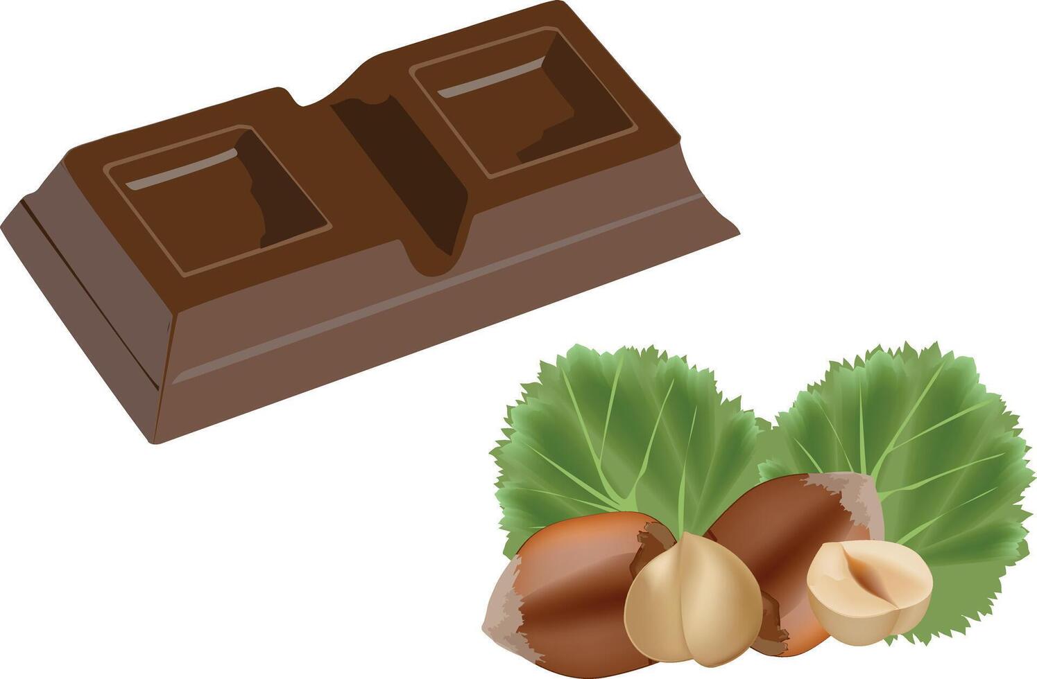 Chocolate and hazelnuts vector