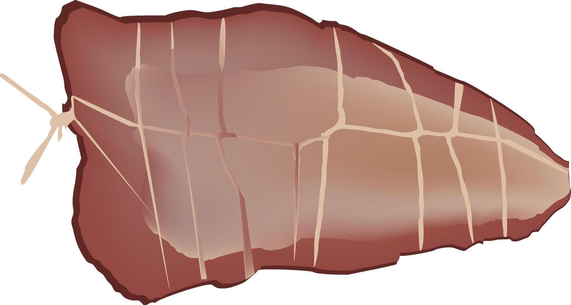 A piece of meat is shown on a white background vector