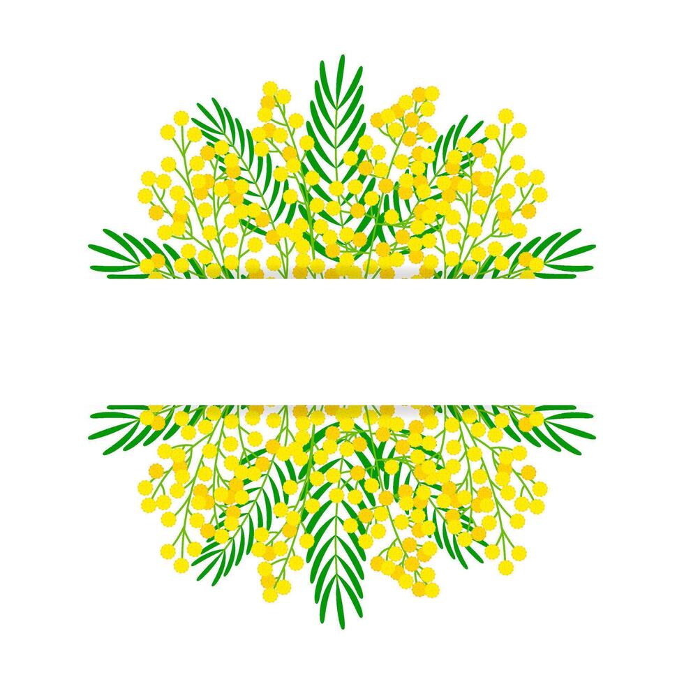 Horizontal festive banner with mimosa flowers. Botanical frame with space for text for International Womens Day, Mothers Day. Spring arrival concept. illustration vector