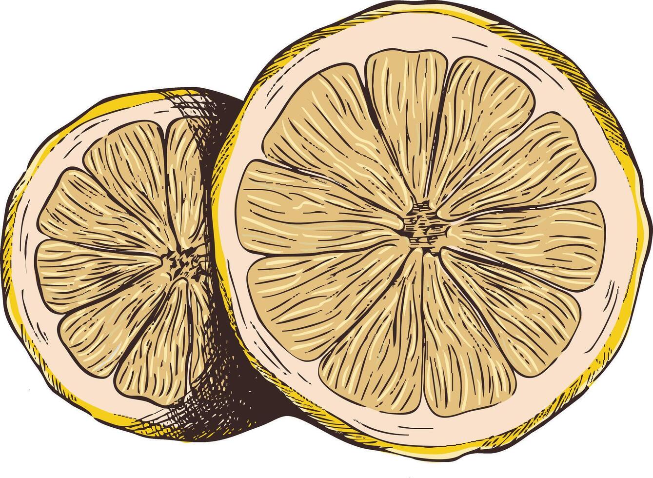 Illustration of lemon slices retro style vector