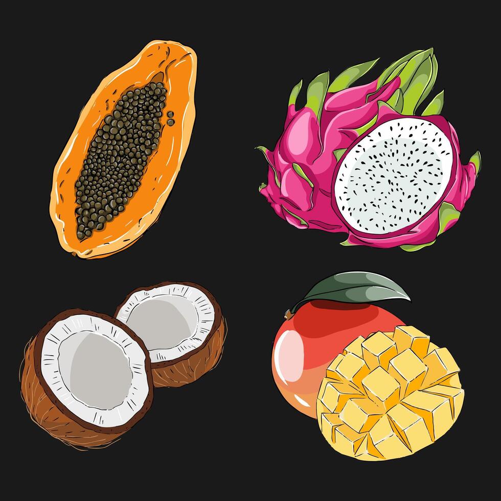 A set of illustrations of tropical fruits vector