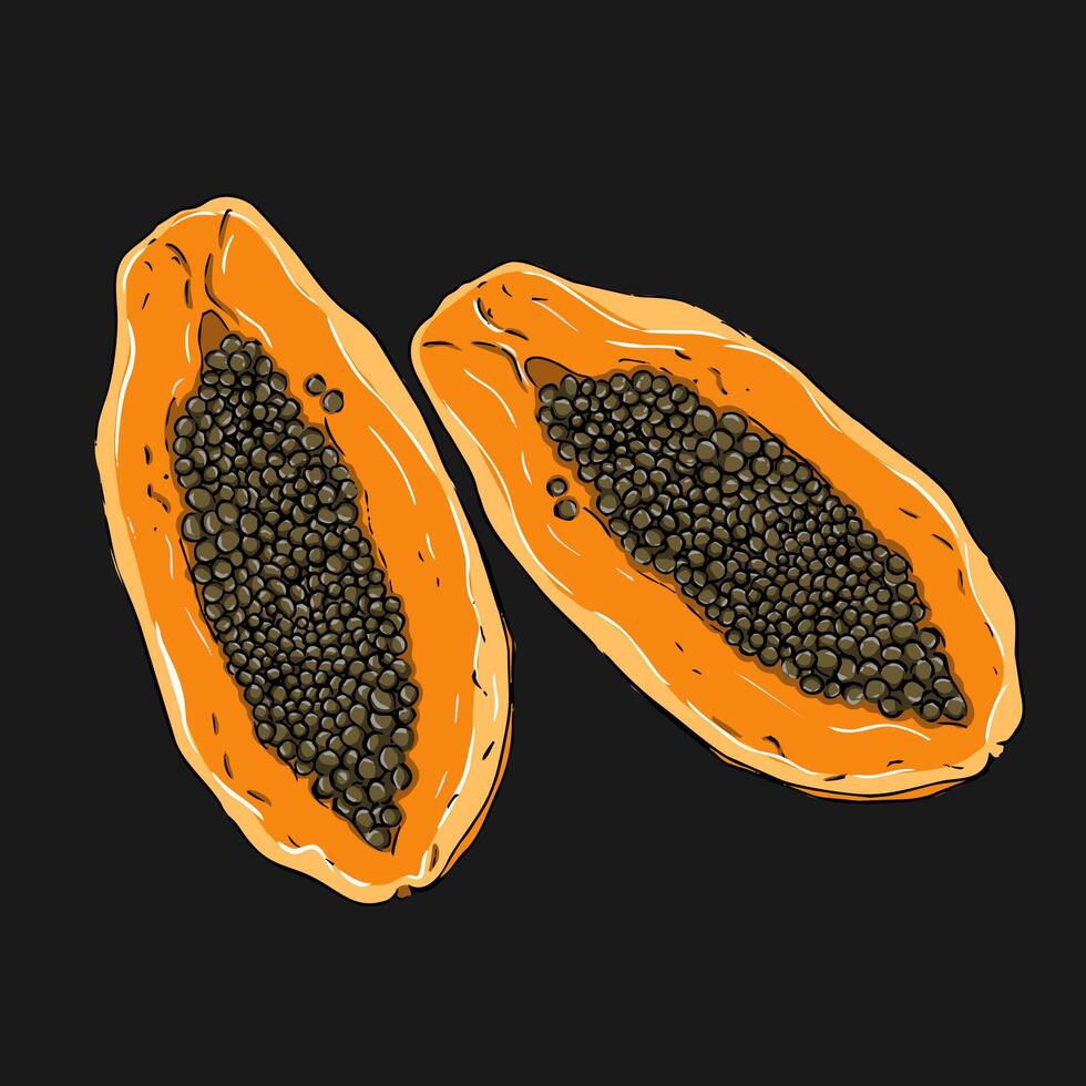 Vivid illustration of papaya slices vector