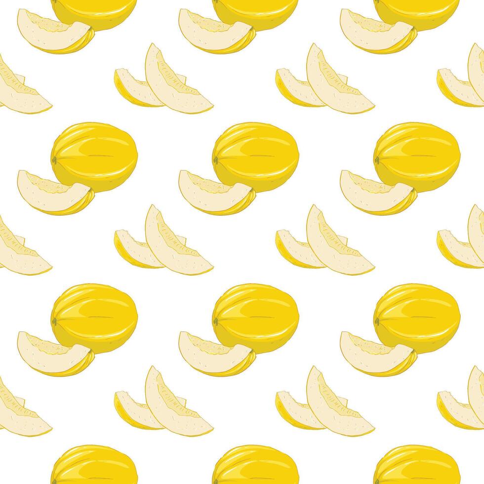 Pattern with the image of a whole melon and pieces vector