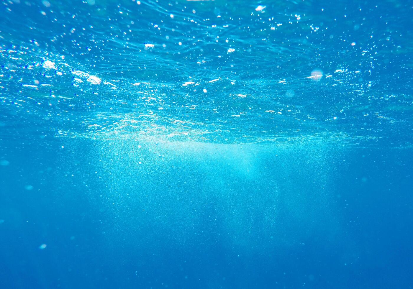 underwater view of the ocean surface with bubbles and bubbles photo