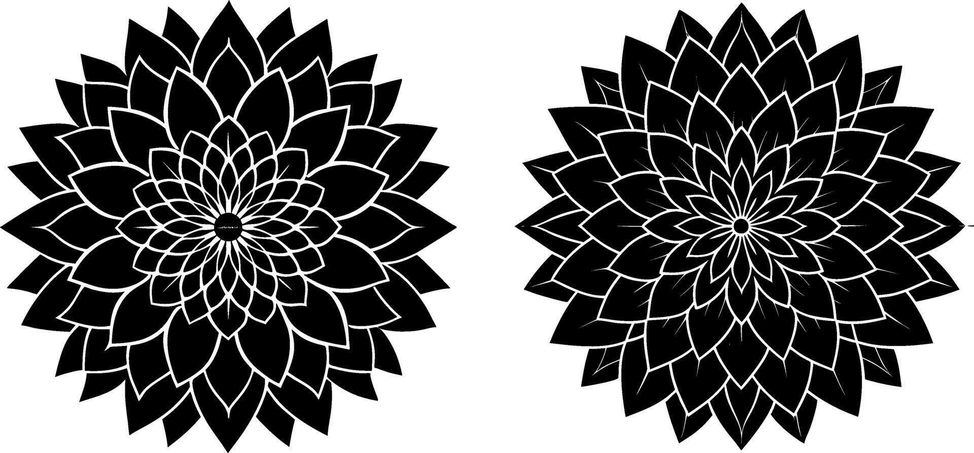 two black and white flowers with a white background vector