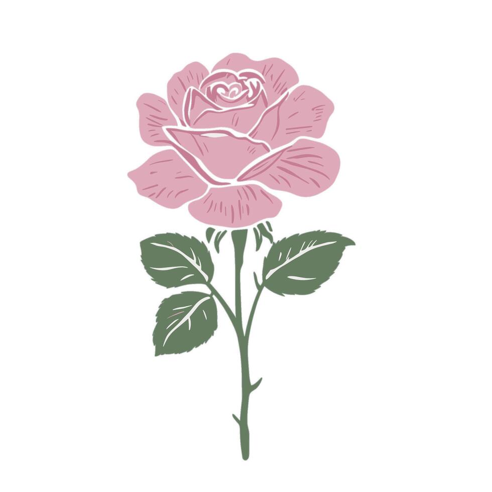 A pink rose with leaves on it is shown vector