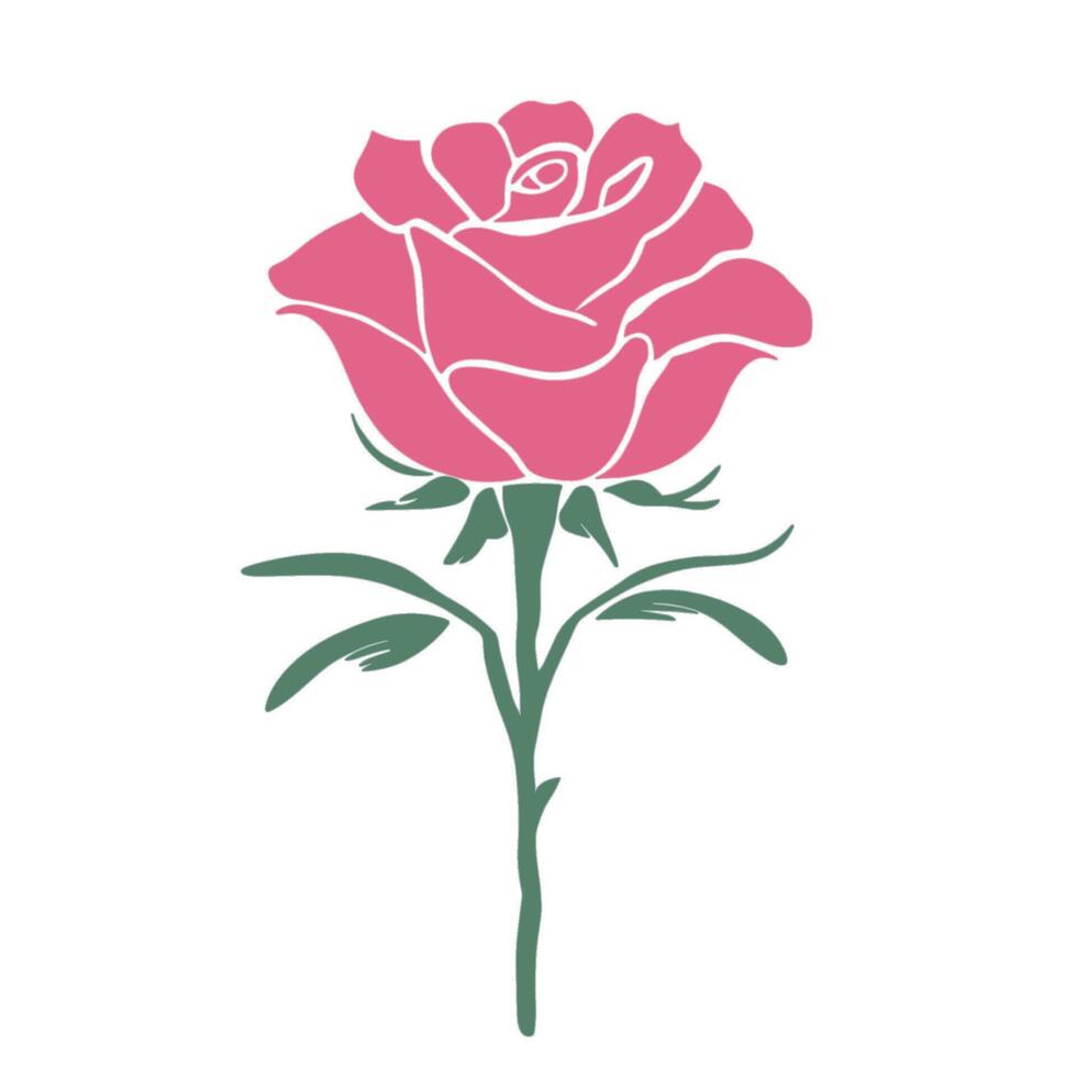 A pink rose is shown on a white background vector