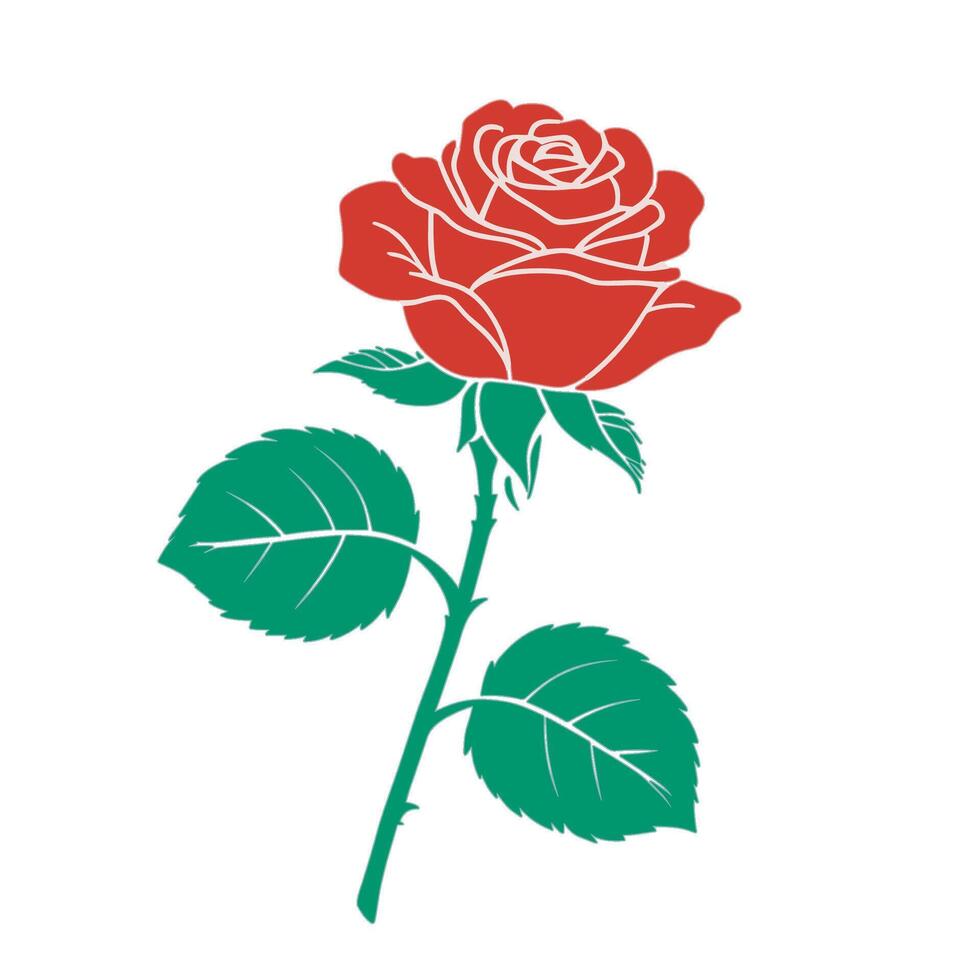 A red rose with green leaves is shown vector