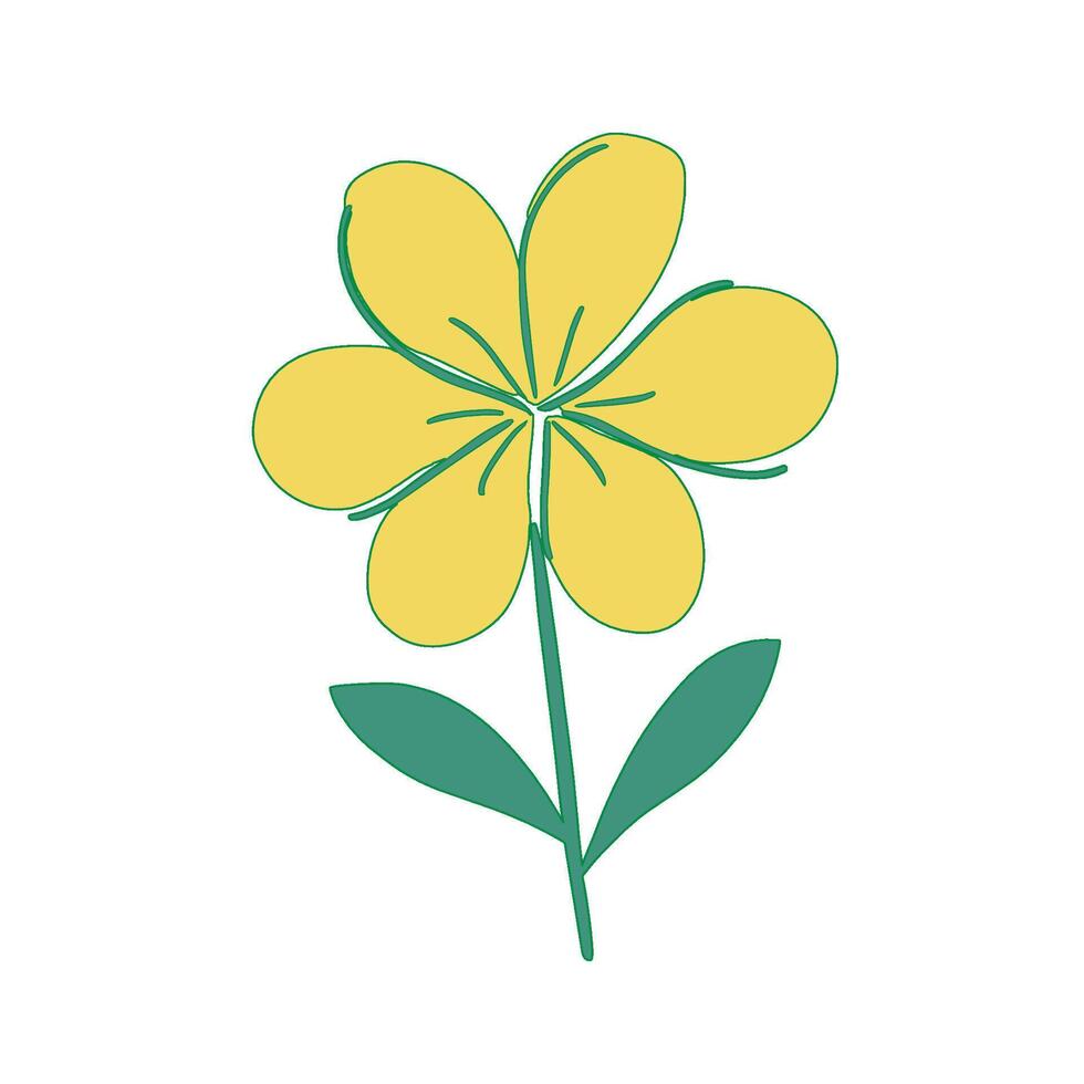 A yellow flower with green leaves on a white background vector