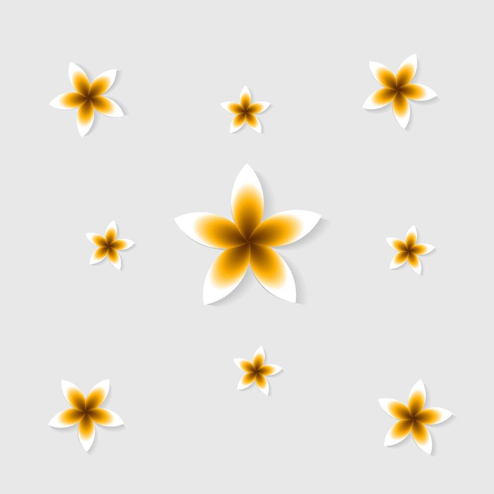 Beautiful flower with yellow and white color vector