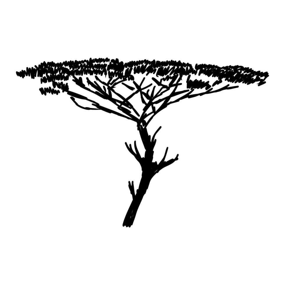 African savanna tree drawing vector