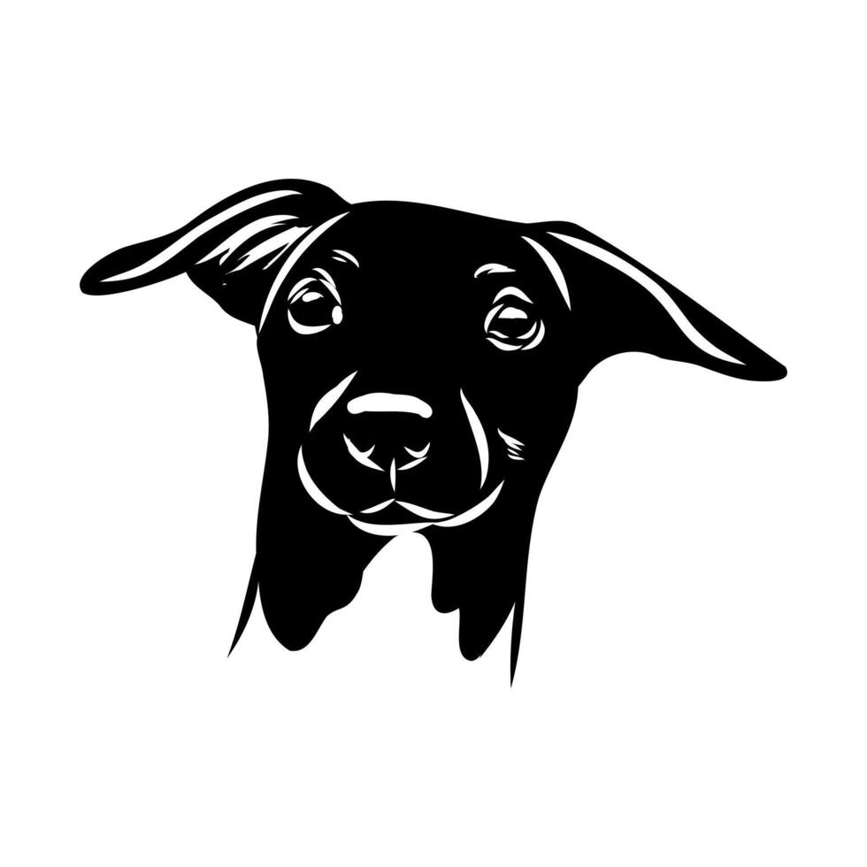 head drawing of an elegant Japanese terrier vector