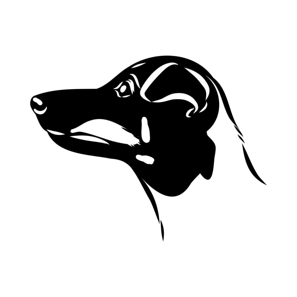 Japanese terrier dog head black and white sketch vector