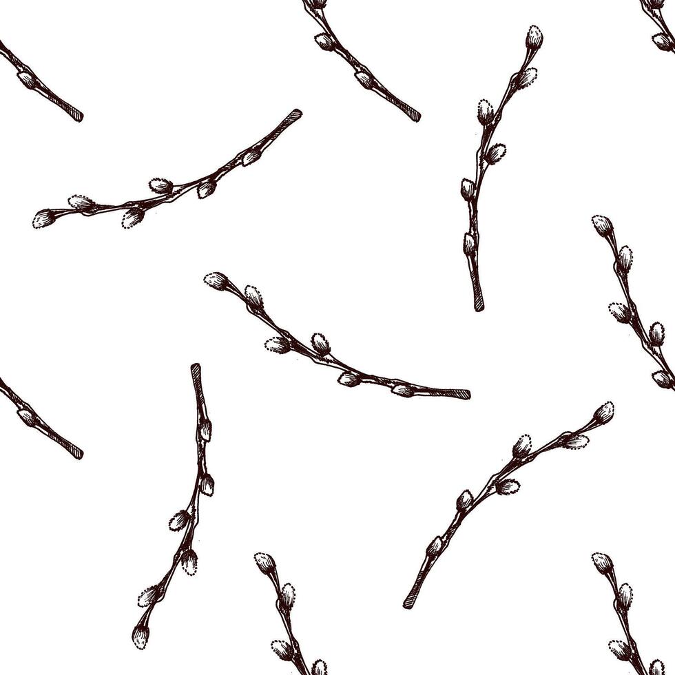 Hand drawn seamless pattern of willow branches for Easter vector