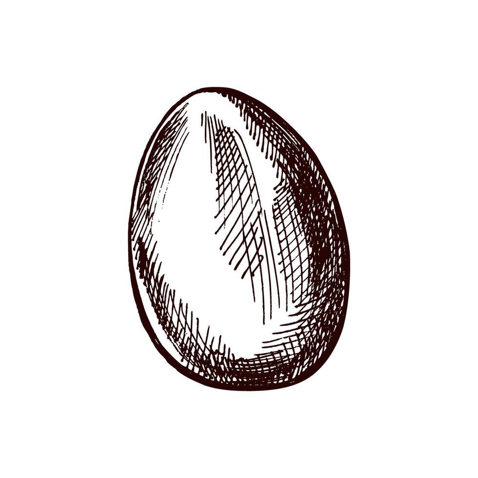 Hand drawn vintage sketch of an Easter egg with texture vector