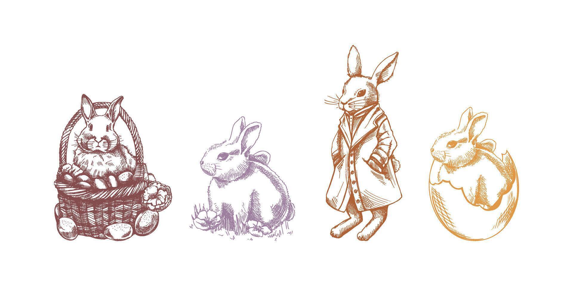 Colorful vintage hand drawn Easter bunny set with basket and eggs illustration vector