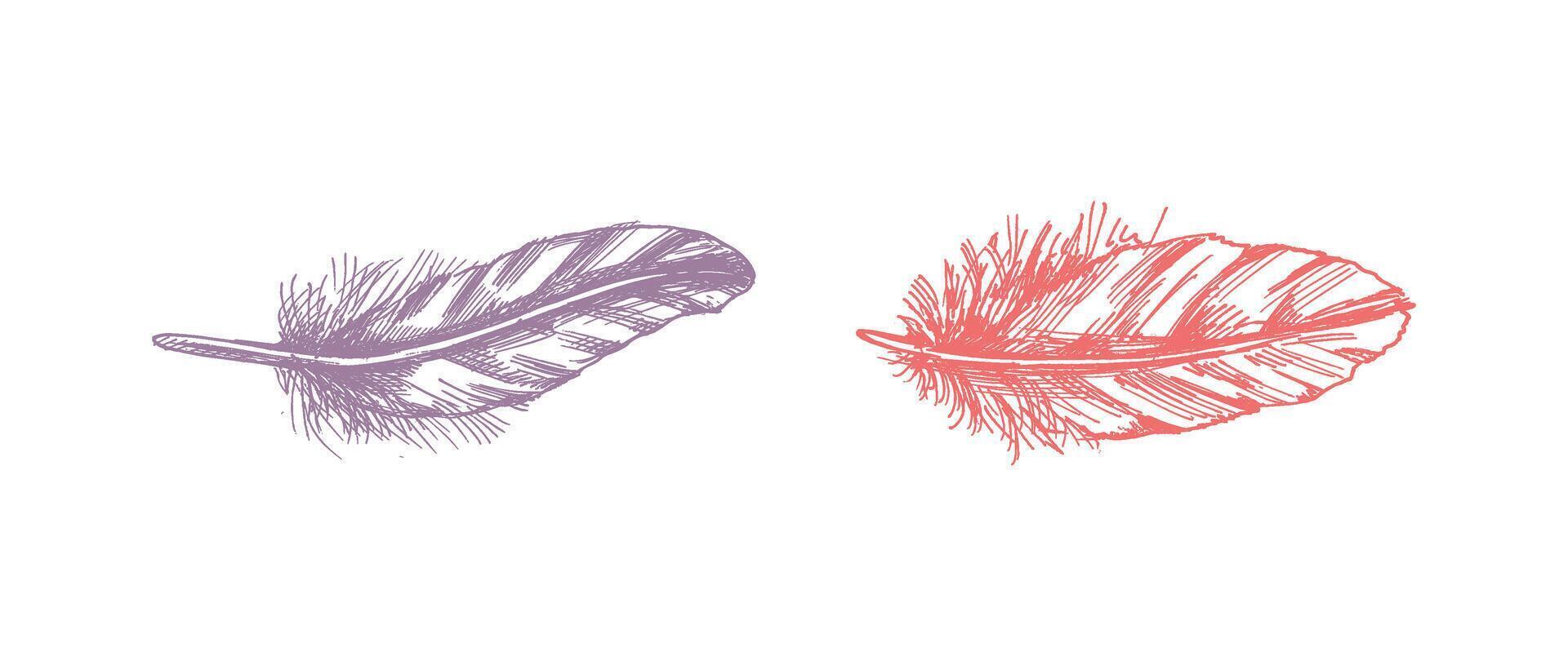 Hand drawn boho style colored feather set for artistic and decorative design projects vector