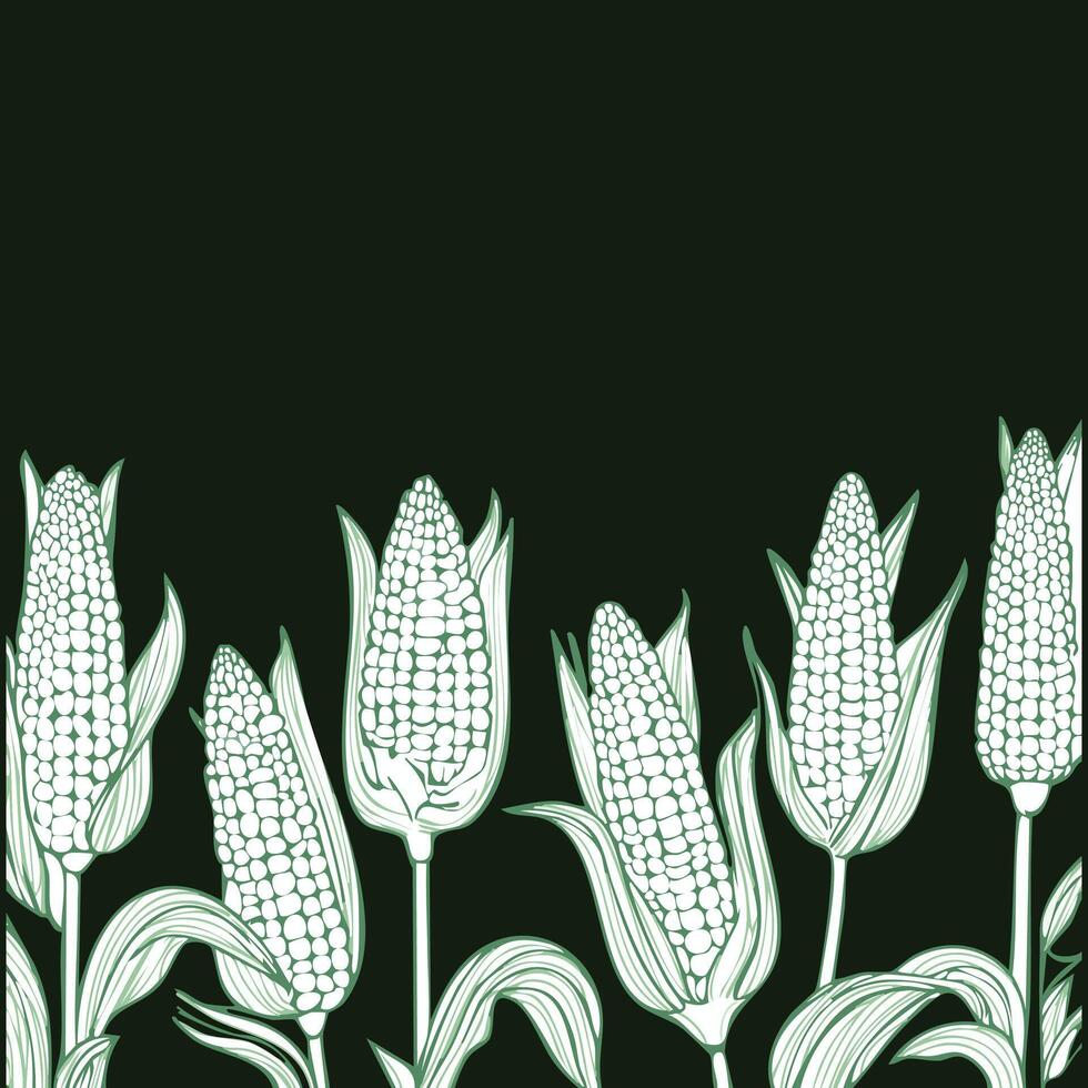 hand drawn style corn stalks with copy space vector