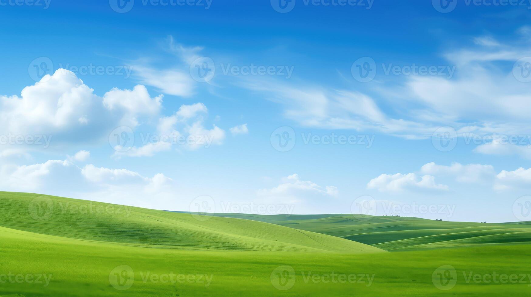 fields kelly green background photo
