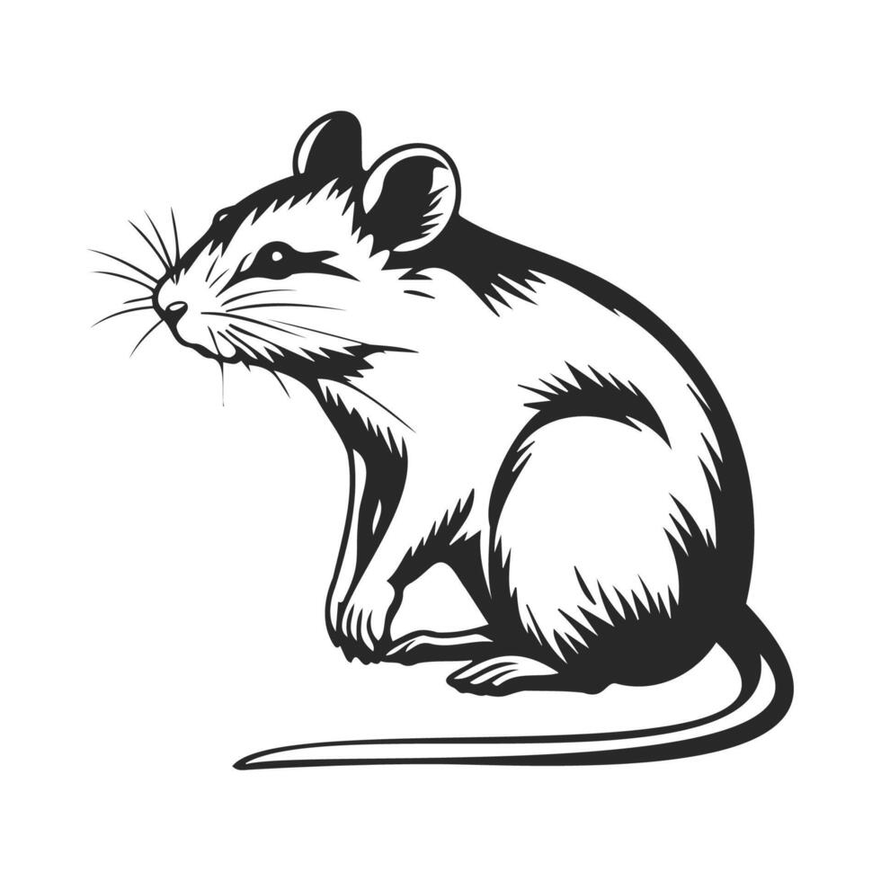 silhouette of mouse animal isolated on white background vector