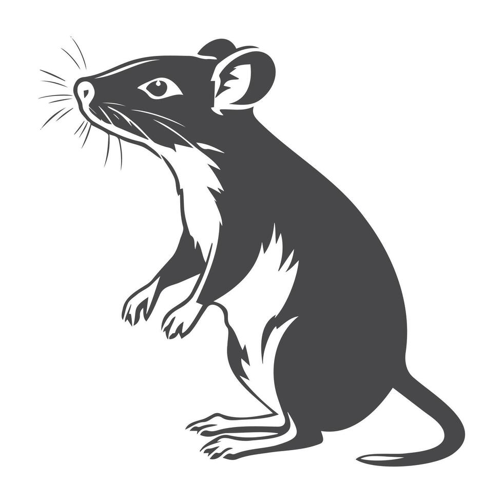 silhouette of mouse animal isolated on white background, . vector