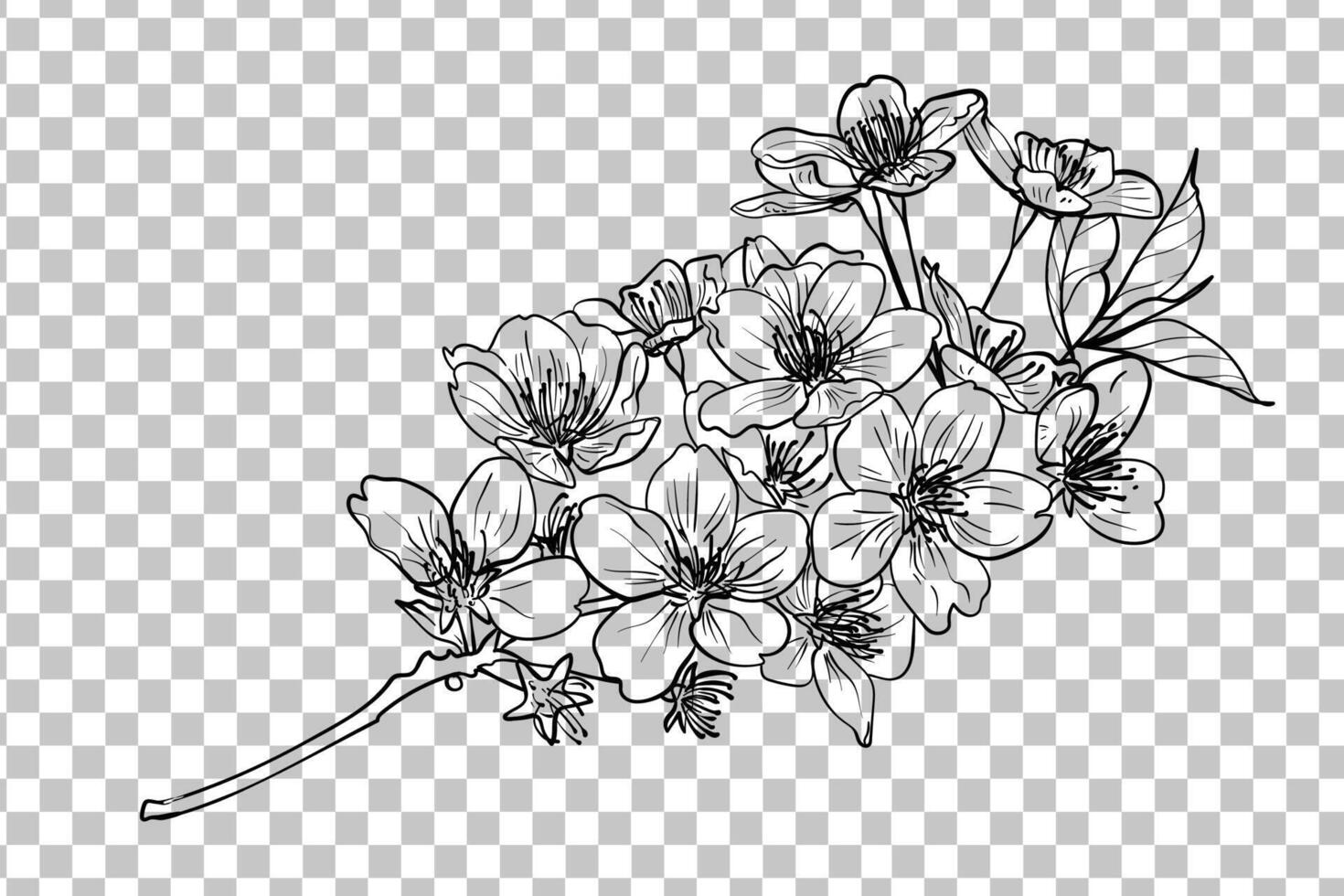 Hand drawn branch of cherry blossoms. Black outline with fine details. Elegant spring flowers for print and online design projects. Easy to edit, ready to be used vector