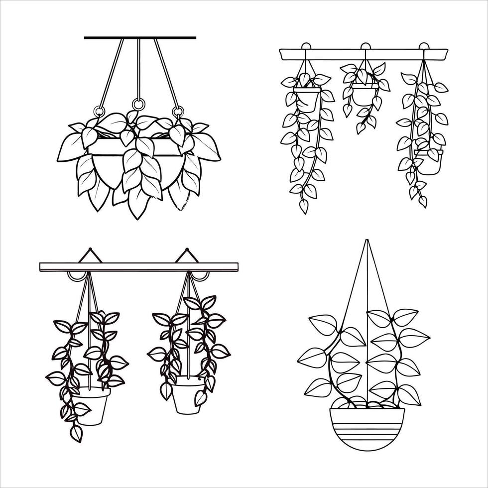 Suspended Serenity Calming Hanging Plants For Your Zen Space vector