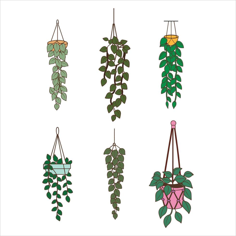 Lush and Lofty The Magic of Hanging Plants vector