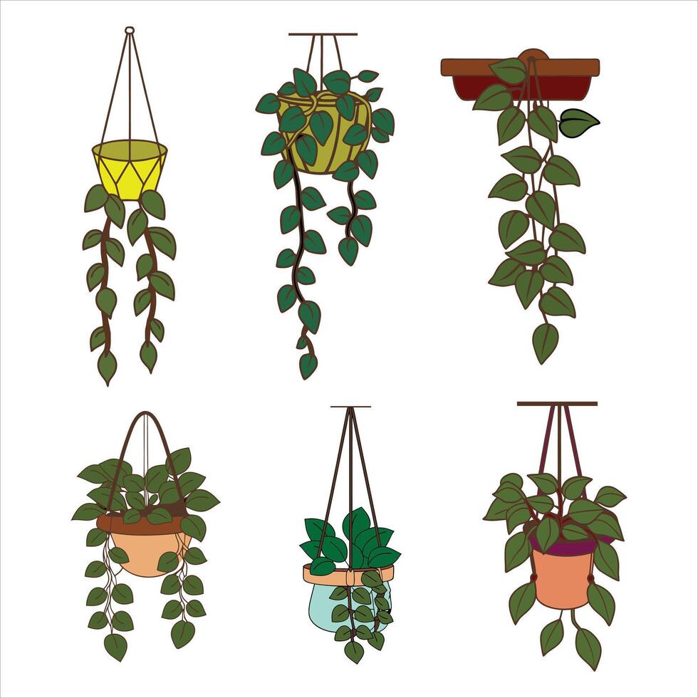 Floating Gardens Transform Your Space with Hanging Planters vector