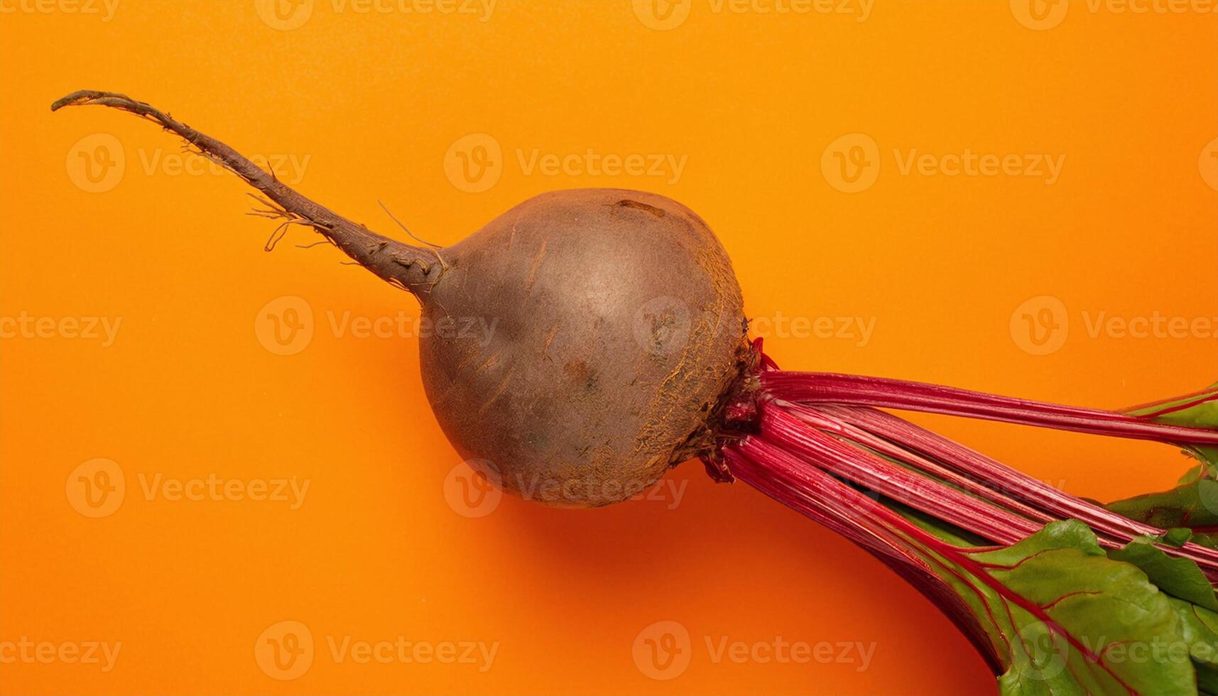 Vibrant Beetroot on a Bold Orange Background photo