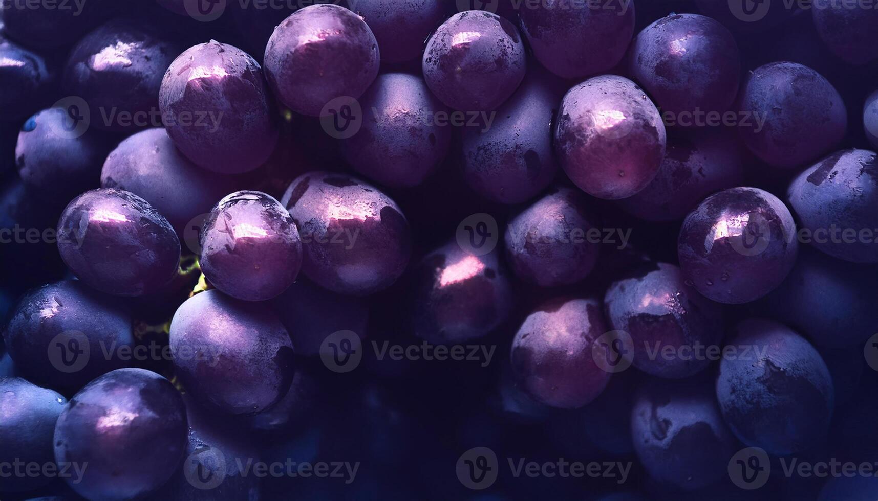 Dark Red Grapes in Shadowy Ambiance photo