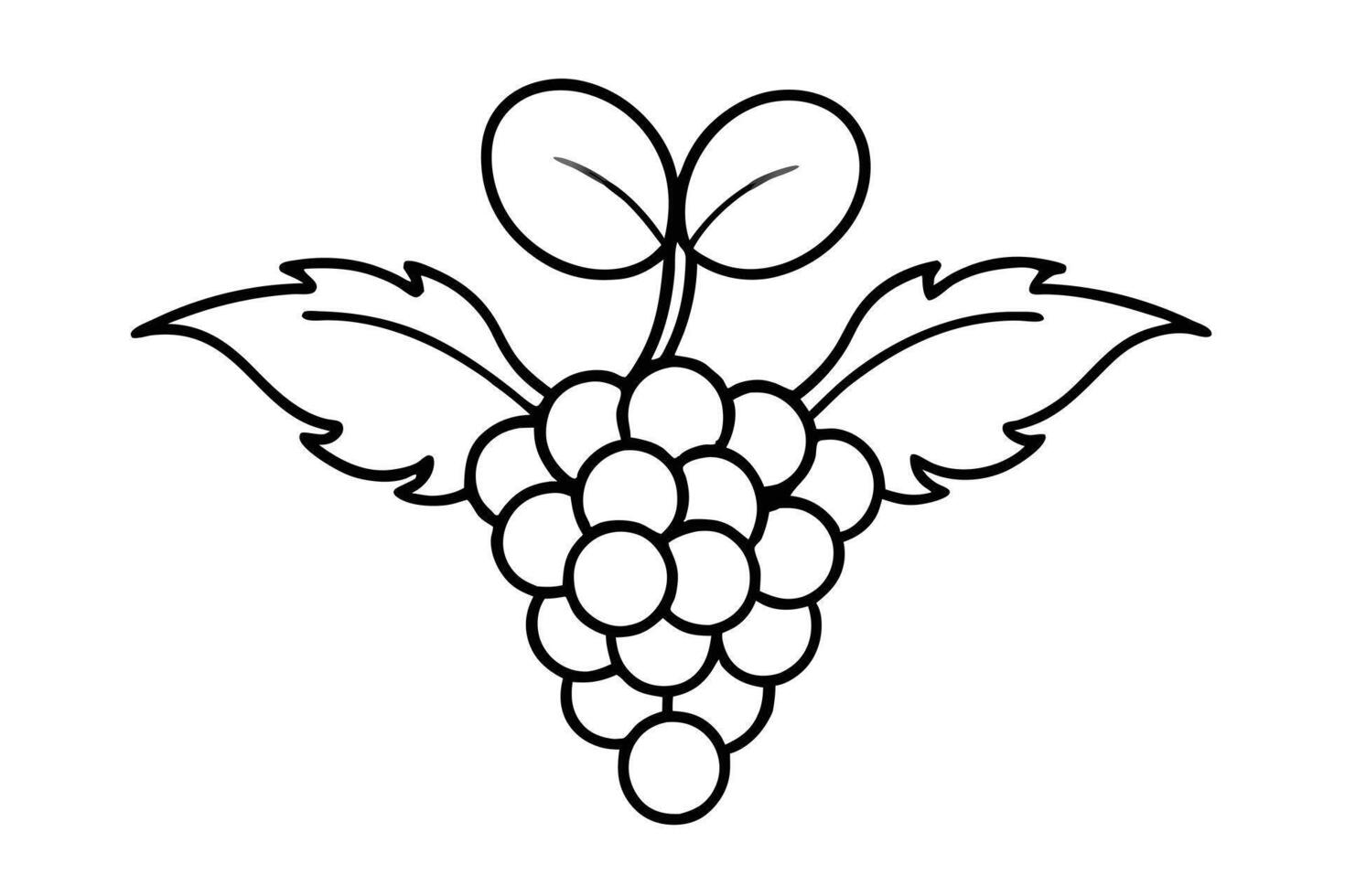 Simple black and white outline drawing of a bunch of grapes with leaves. vector