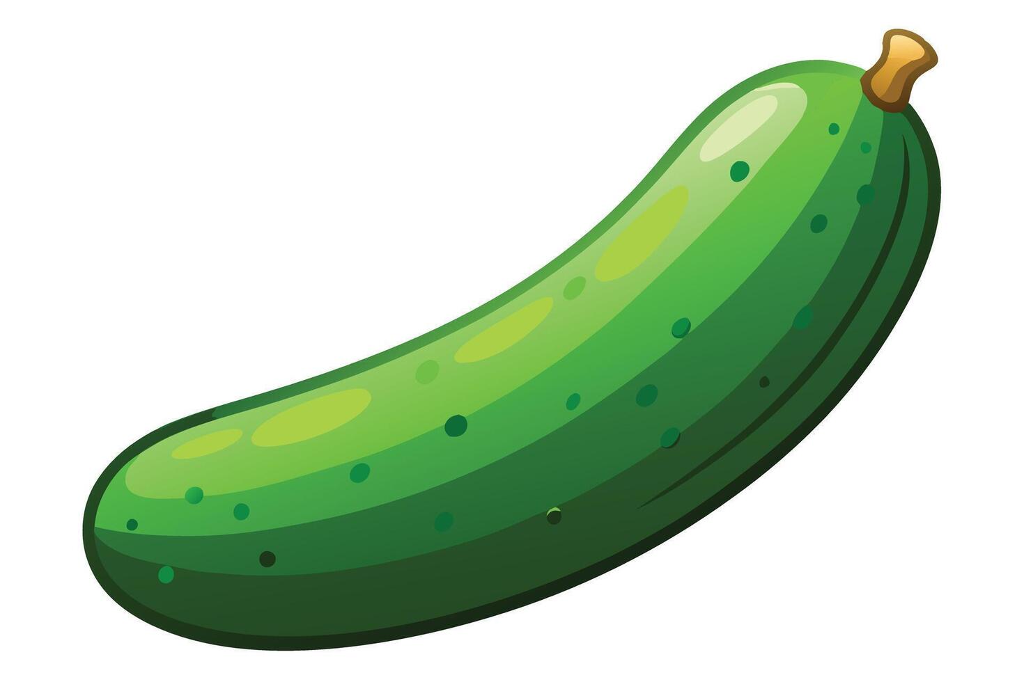 A illustration of a fresh, whole cucumber vector