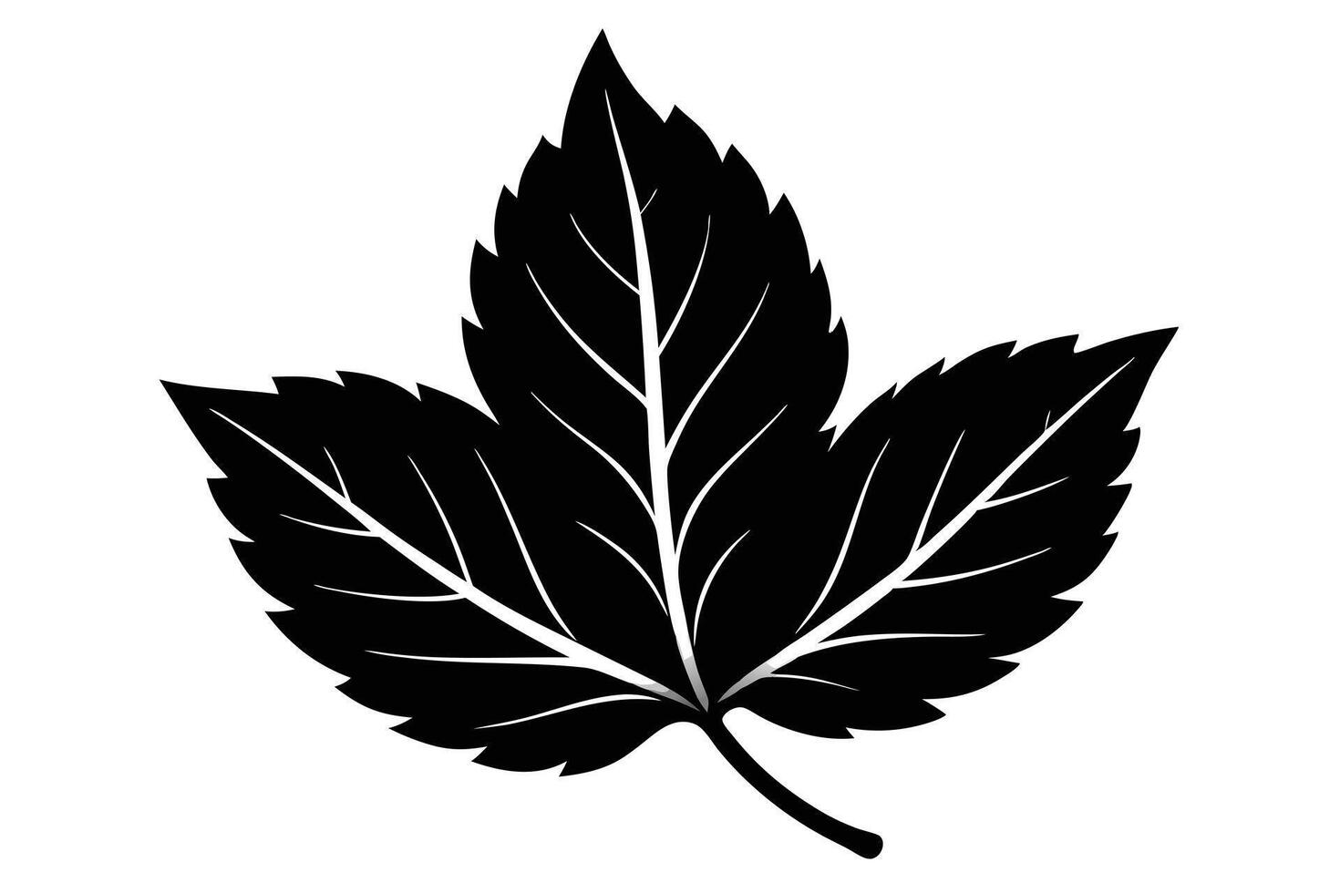 B illustration of a detailed dark green leaf. vector